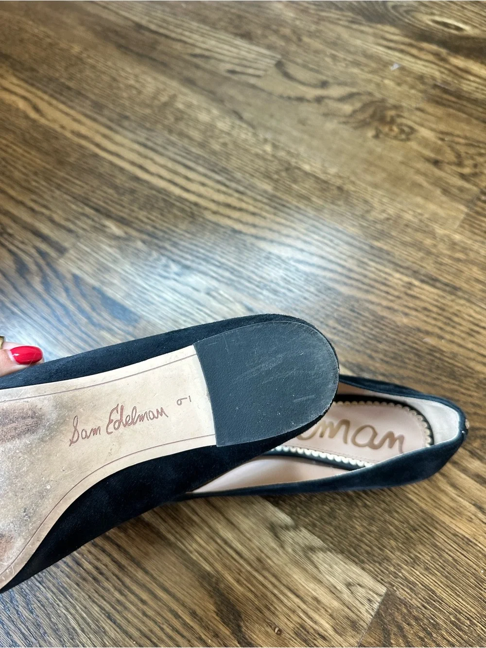 Sam Edelman classic pointed
